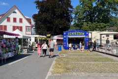 thumbnail_IMG_2393