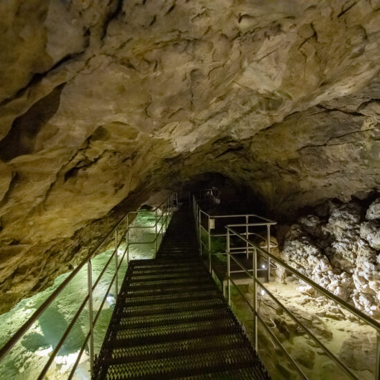 Höhlenwart/in gesucht – Arbeiten in einer faszinierenden Welt