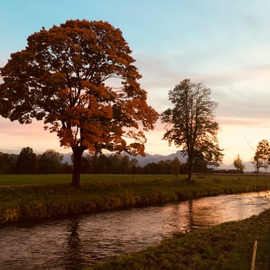 Stellenausschreibung Huus Feldhof: Mitarbeiter/in Hauswart/techn. Dienst (80-100%)